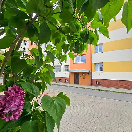 Visit Baltic - Rybaki Z Sypialnia I Balkonem * 슈비노우이스쳬